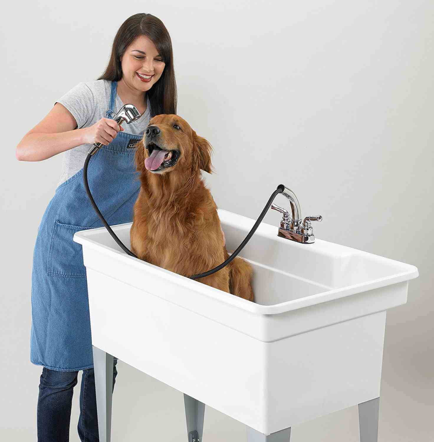 To Know Dog Grooming Technique is Important | Pets Nurturing