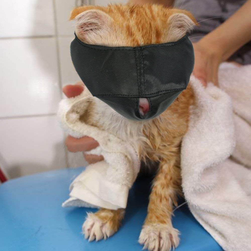 muzzle cat muzzles grooming nylon face mask biting pet anti scratches groomer preventing cats helpers tools scratching prevent downtown medium