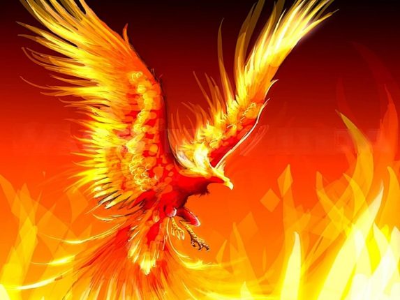 Real Phoenix Bird: A Mysterious and Mythological Bird