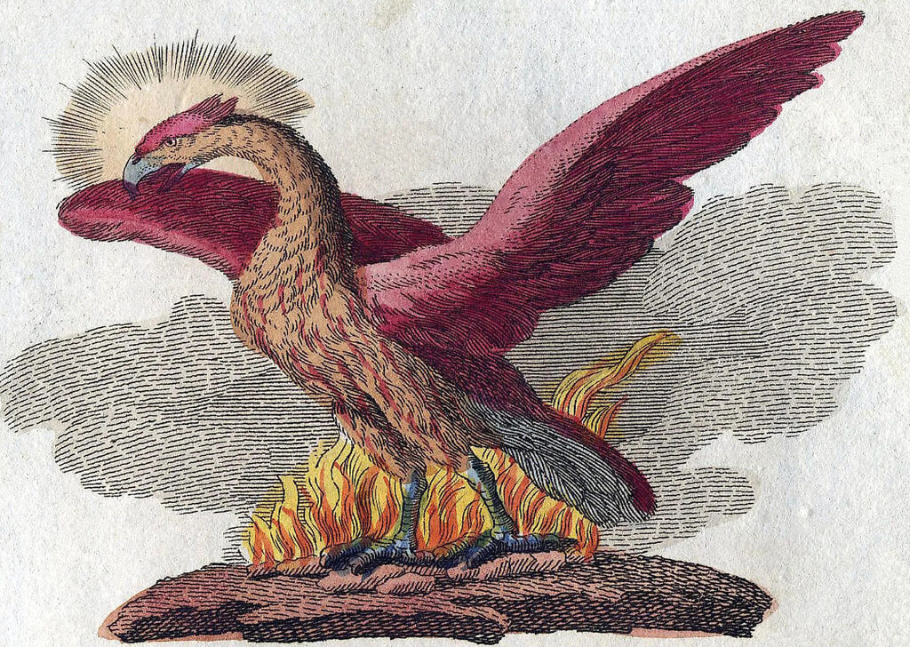 Phoenix in Jewish Mythology – Milcham