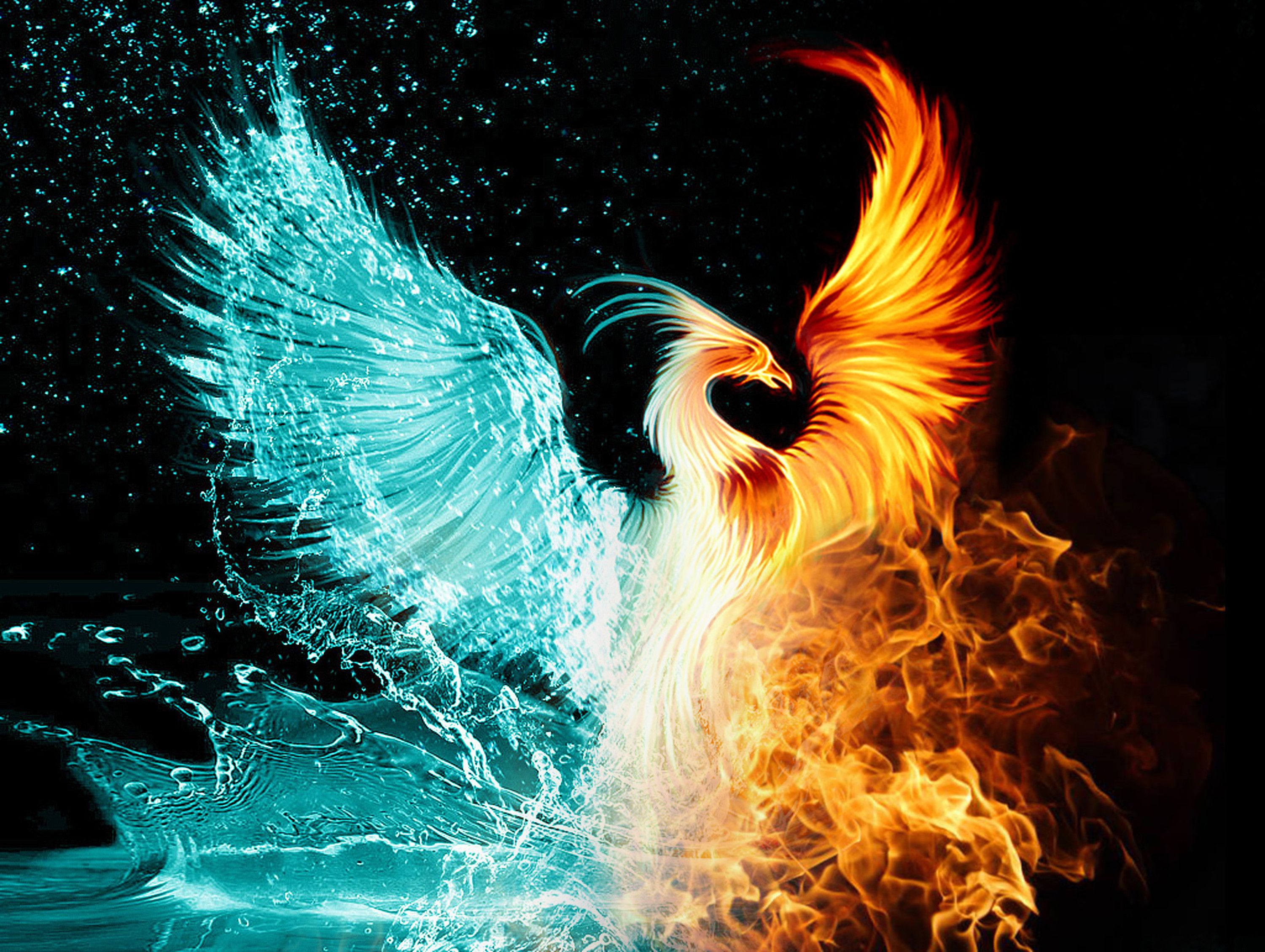 All You Need To Know About The Greek Mythological Bird: Real Phoenix ...