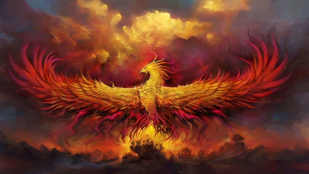 real phoenix bird