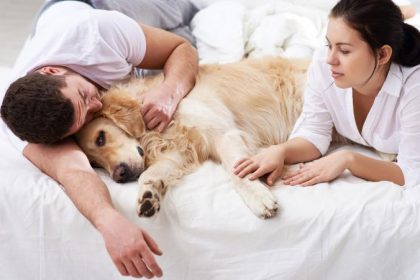 Signs That Your Dog Is Dying of Cancer Which Can’t Be Ignored | Pets