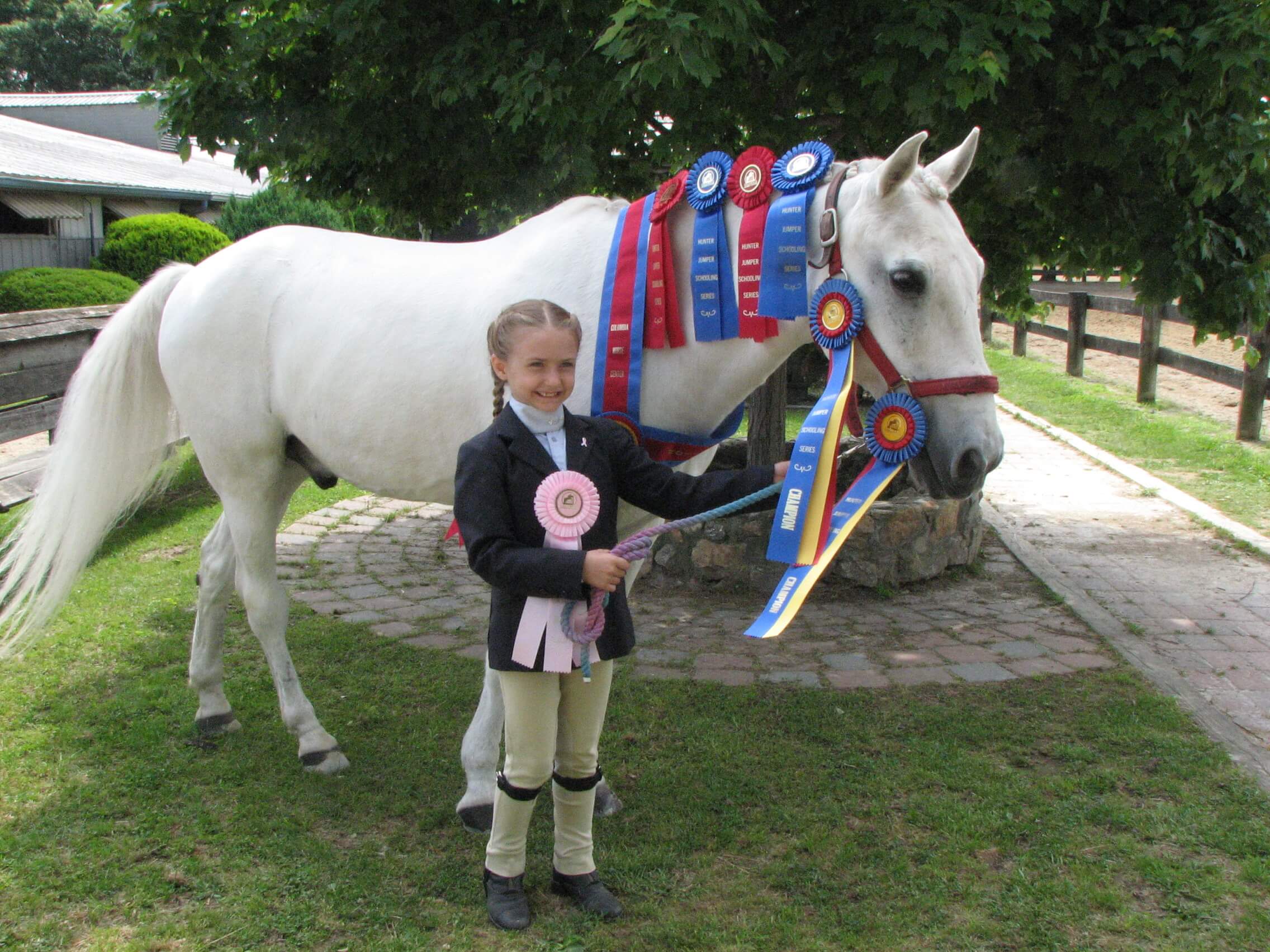 temi riding horse