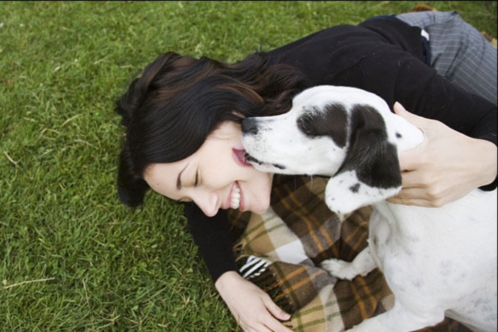 Dogs Just Wanna Have Fun