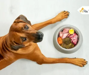 Sensitive Food