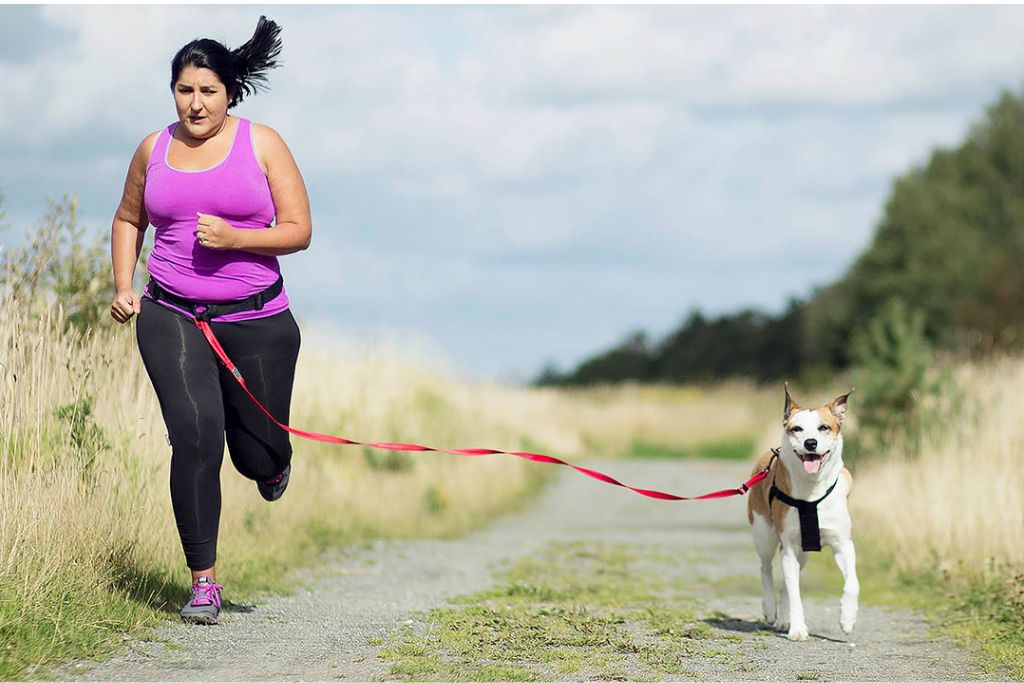 Training Dogs Is Easier
