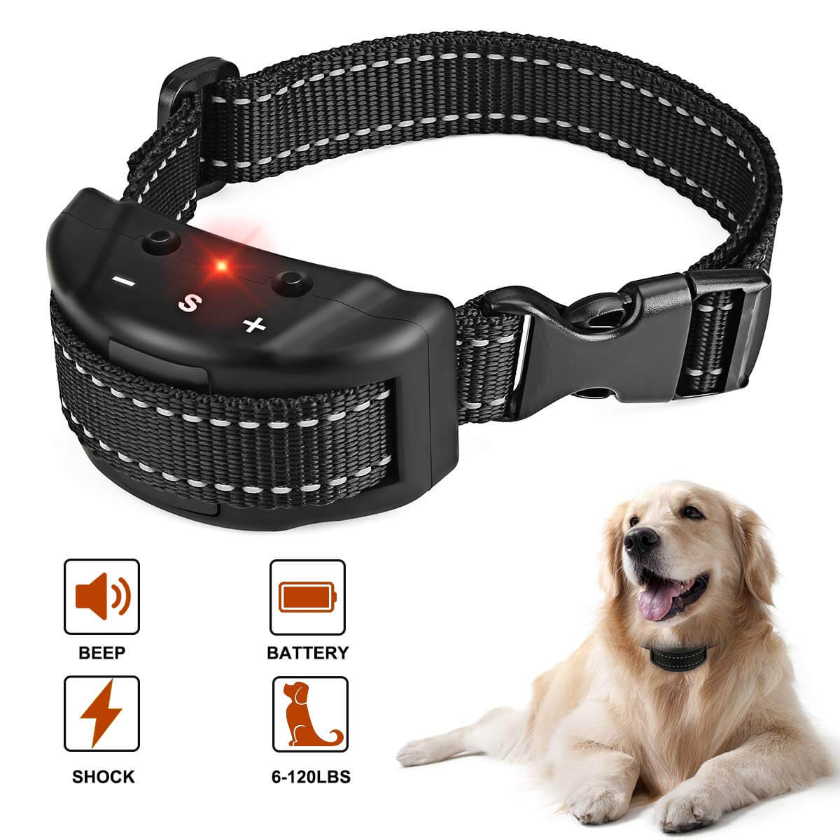 Some Of The Best Dog Training Collar Ever Pets Nurturing
