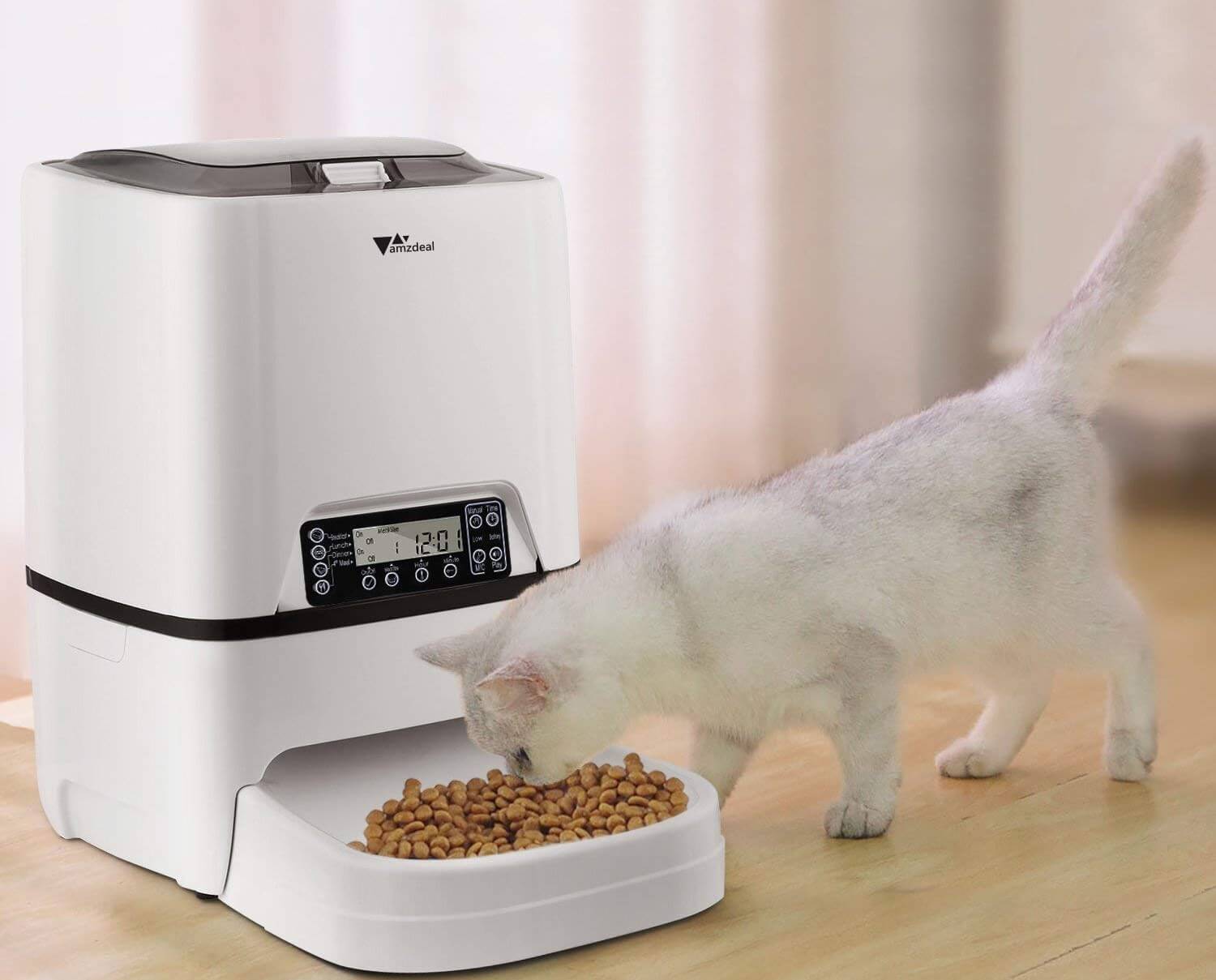 auto cat feeder dry food