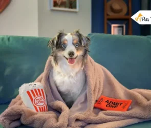 best dog movies