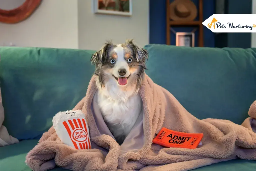best dog movies