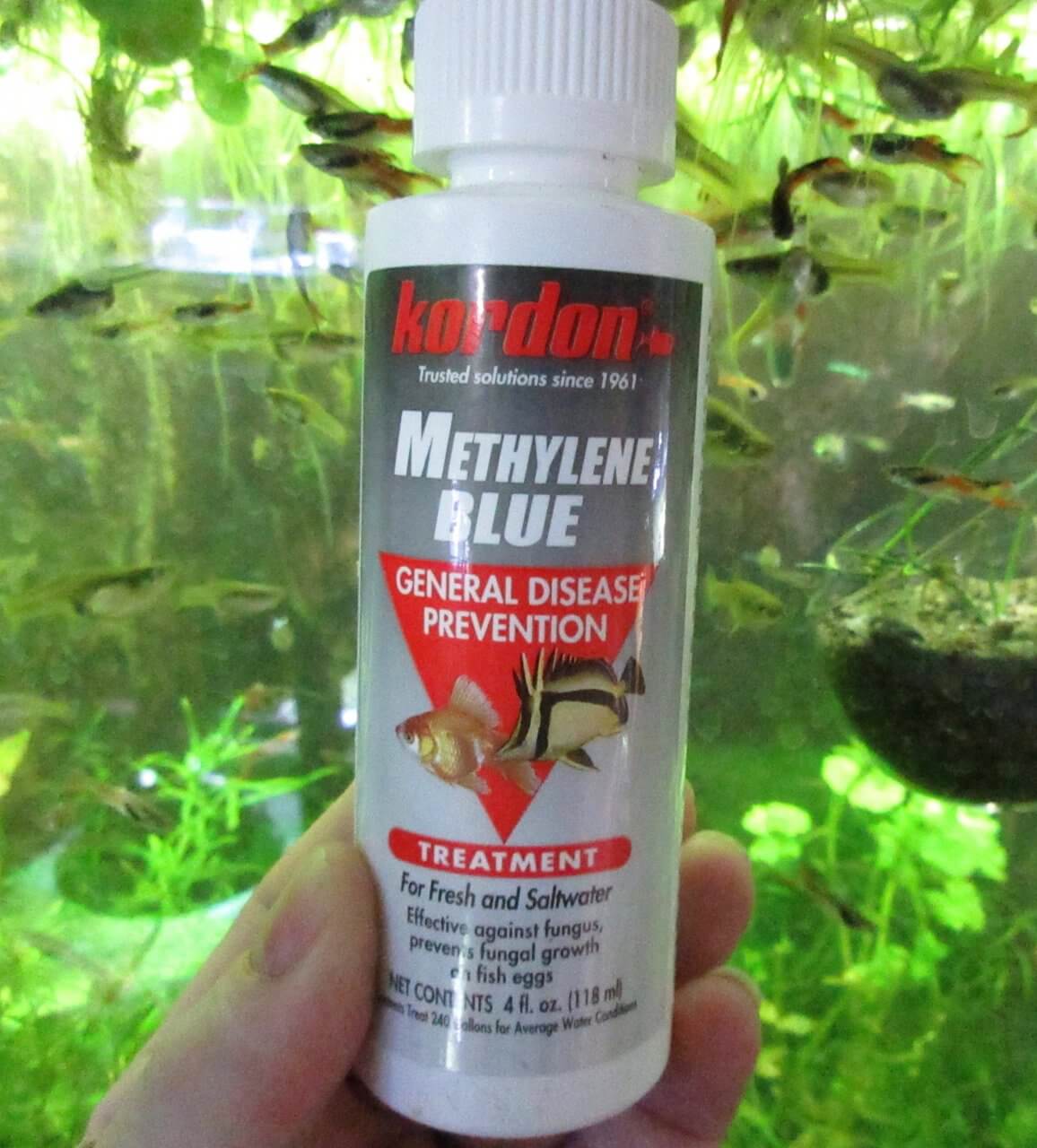 Methylene Blue Uses For Aquarium