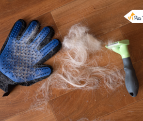 Pet Hair Remover Accessories