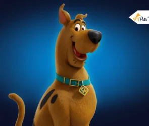 Scooby Doo real life