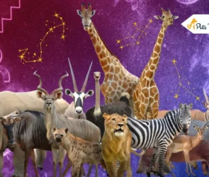 Zodiac Signs Animals
