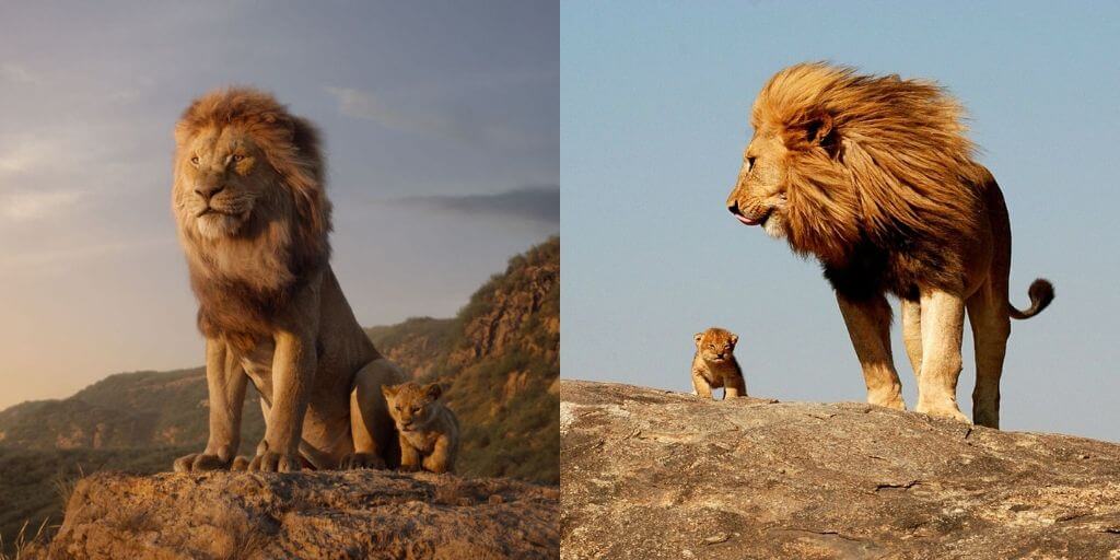 Animals in Lion King: A Complete List of Their Species