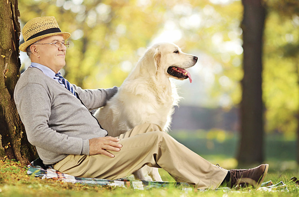 Sharing Your Everyday Life with Pet