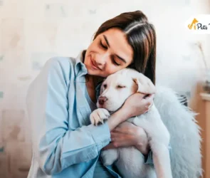 Sharing Your Everyday Life with Pets