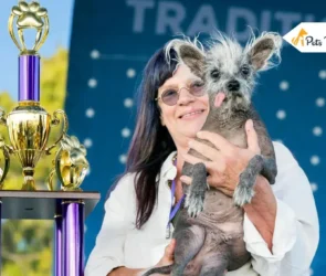 worlds ugliest dogs