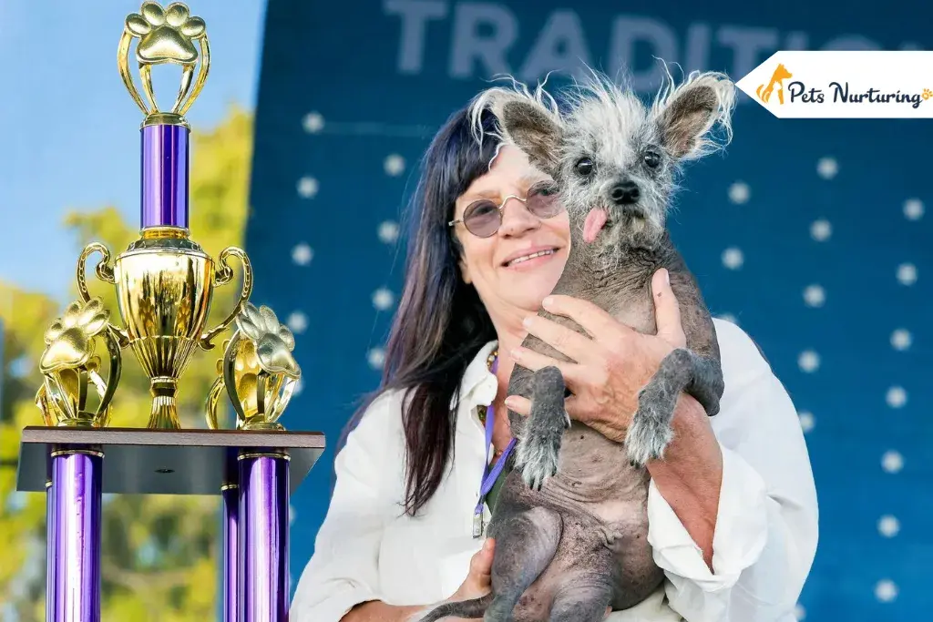 worlds ugliest dogs