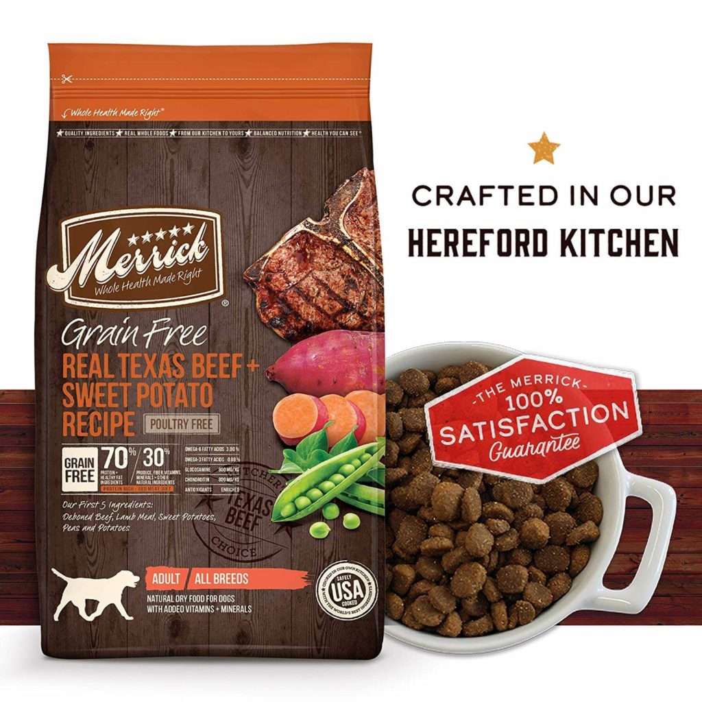 Tips for Choosing Best Dog Food Brands Pets Nurturing