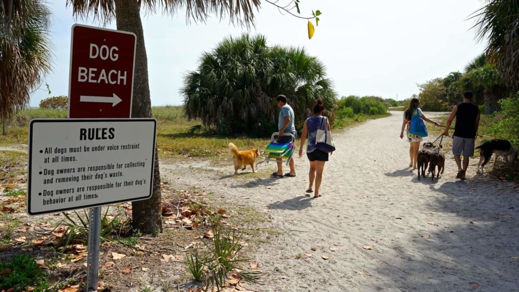 Dog Friendly Beaches in Florida