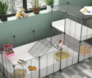 Guinea Pig Cage