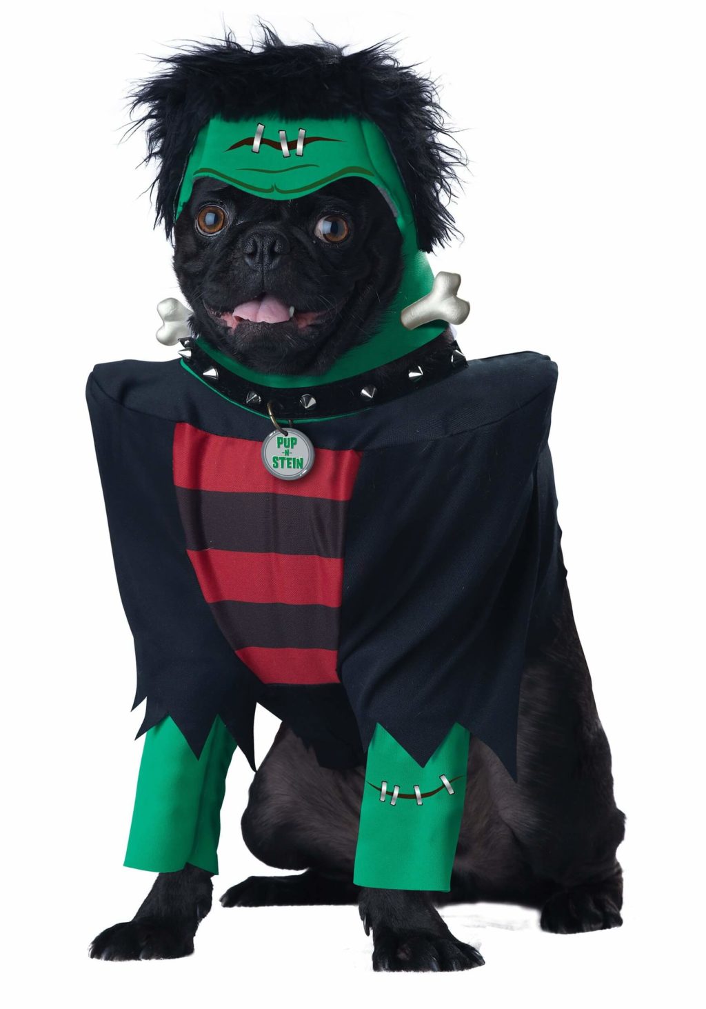 12 Purr-fect Pet Halloween Costumes | Pets Nurturing