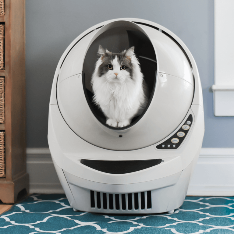 Keep Your Kitty Happy With Litter Robot 3 Pets Nurturing