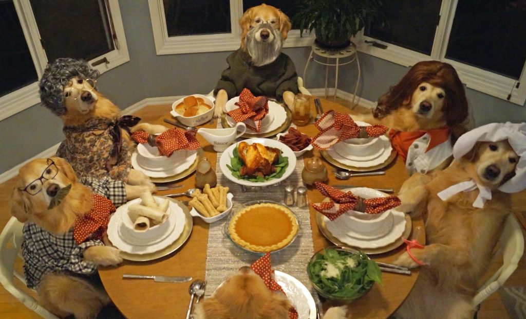 Thanksgiving Food for Dogs