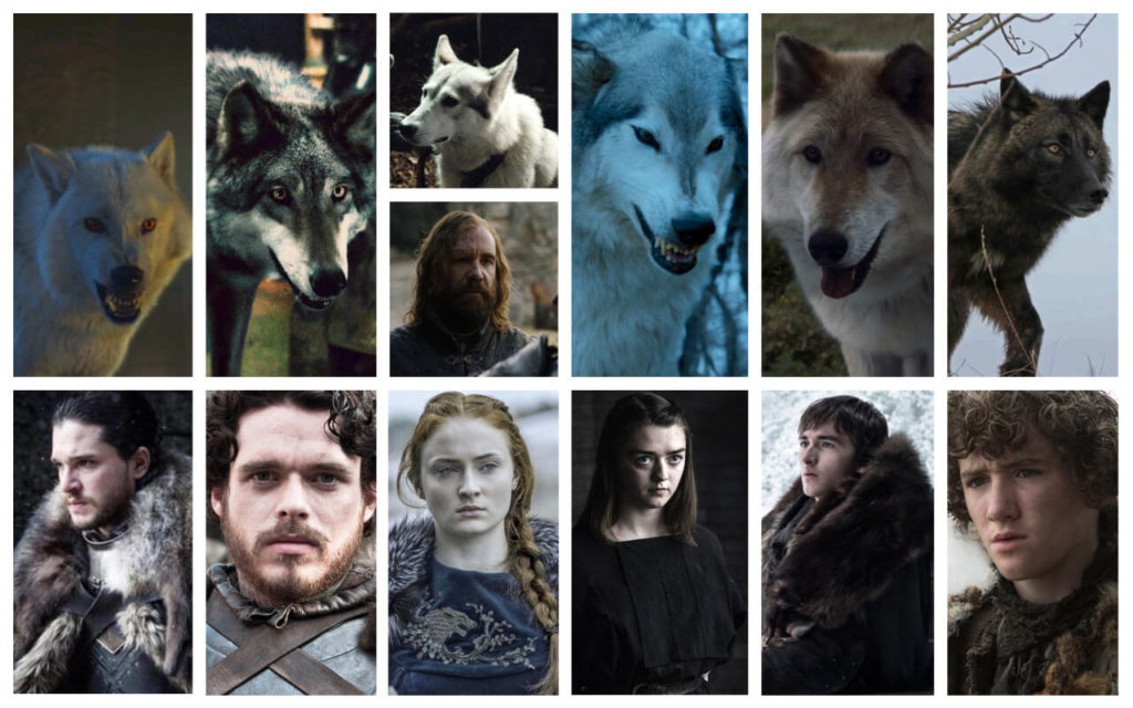 game of thrones dire wolves
