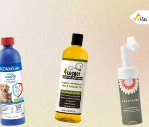 Best Dog Shampoo