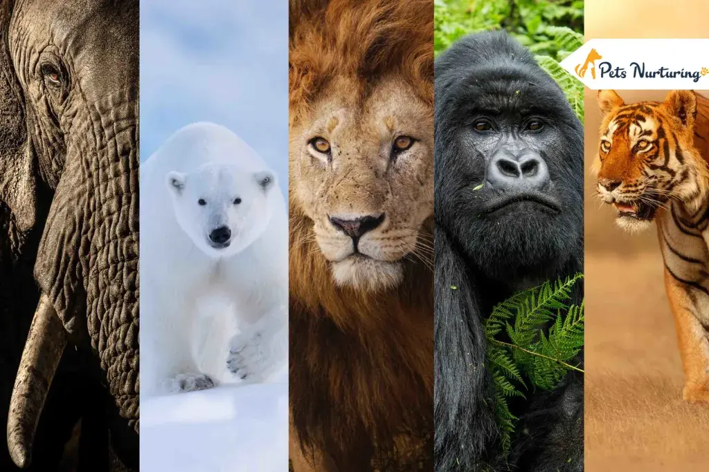 strongest animalS in the world