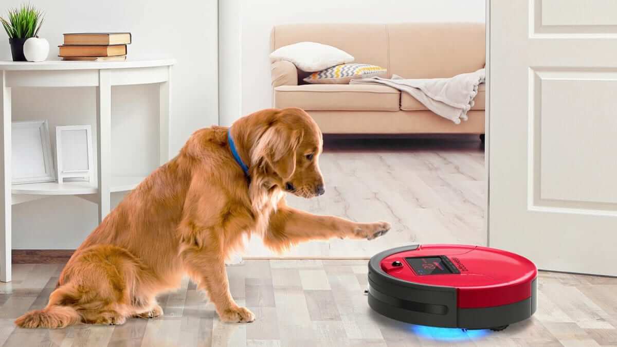 Buy These Best Roomba for Your Pet Hair | Pets Nurturing