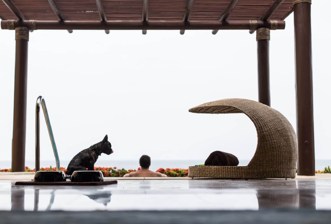 dog friendly resorts in Cancun