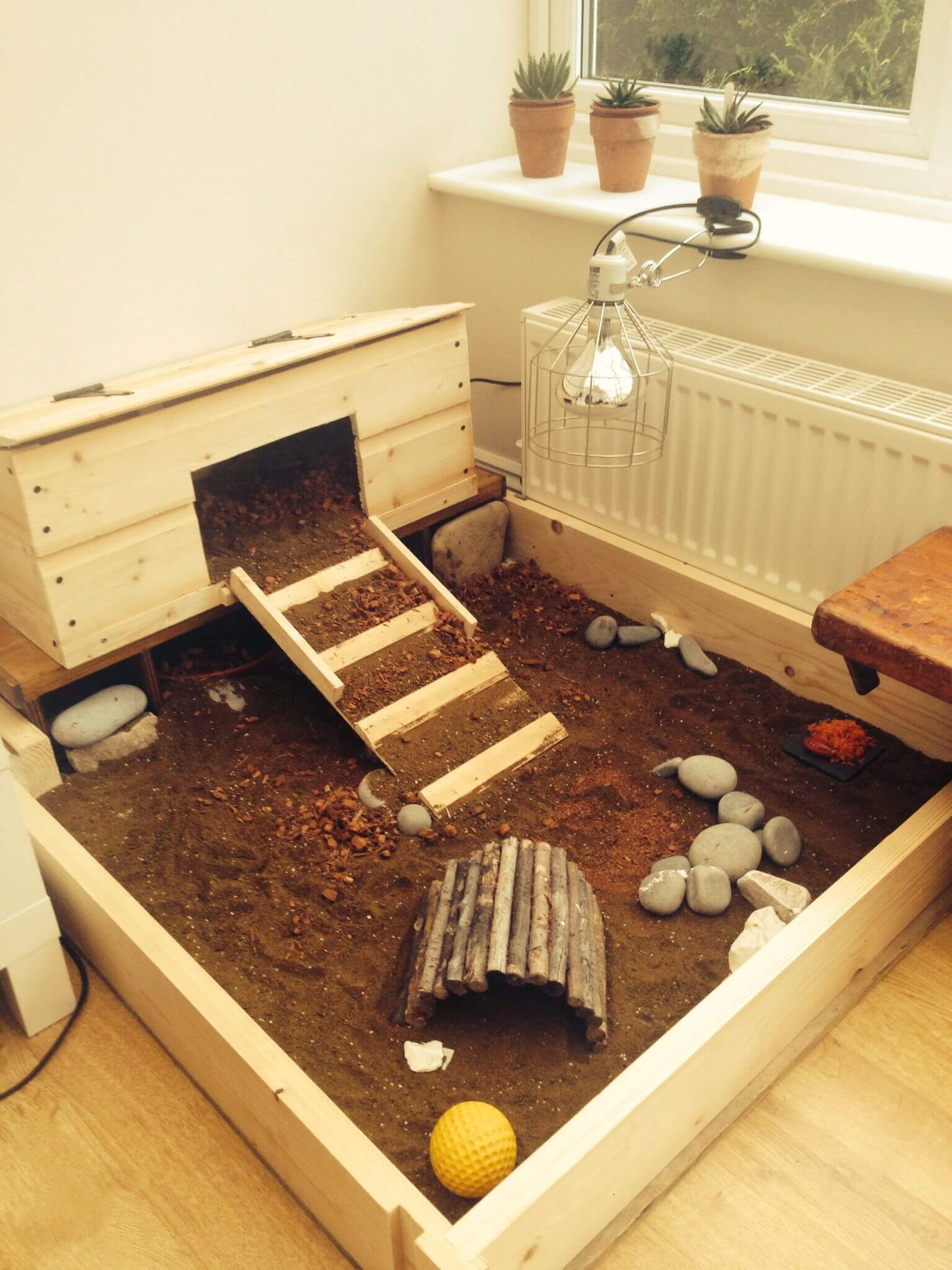 how-to-set-up-a-tortoise-enclosure-a-step-by-step-guide