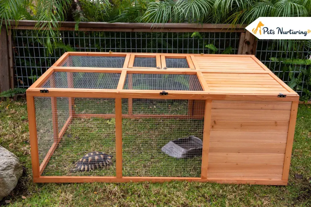 tortoise enclosures
