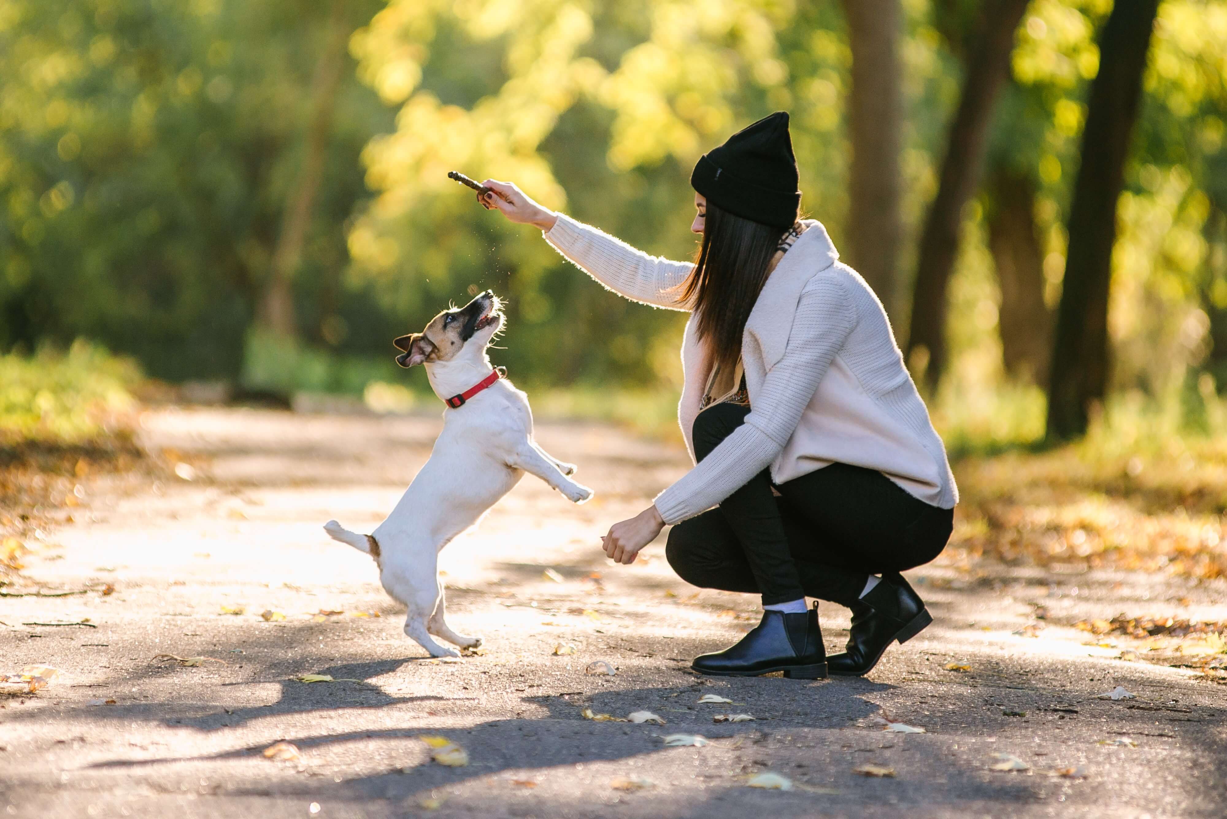 famous female dog trainer