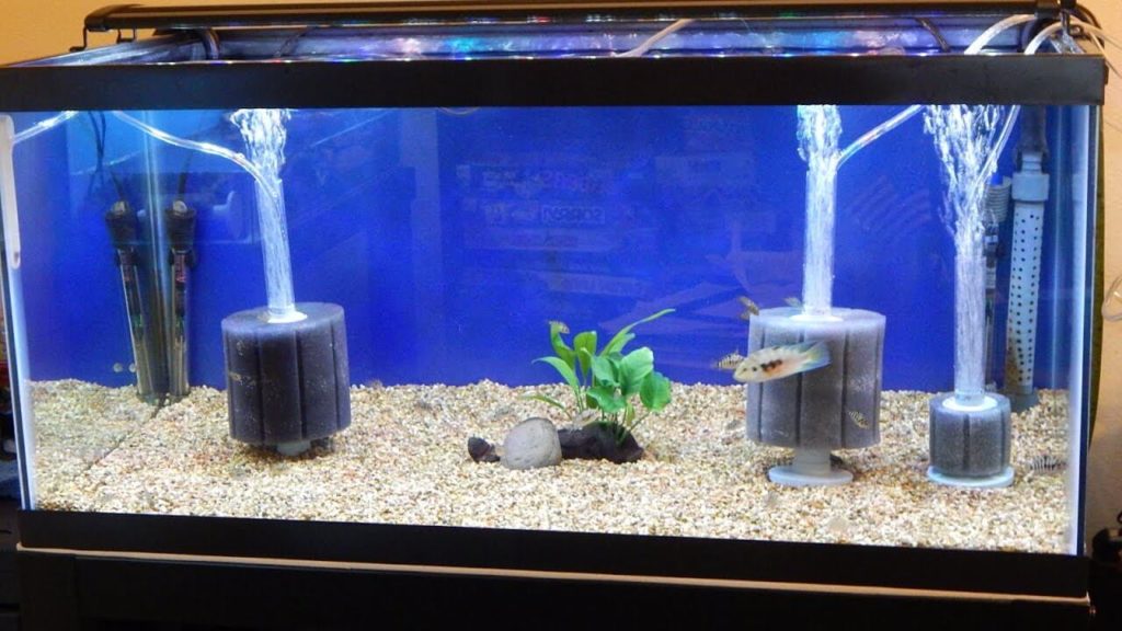 aquarium sponge filter
