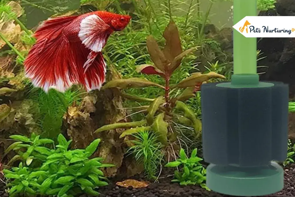 aquarium sponge filters