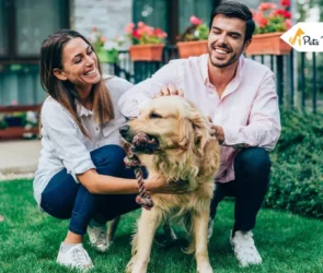 Protecting Pets From Pest