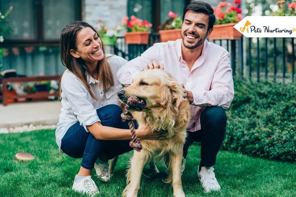 Protecting Pets From Pest