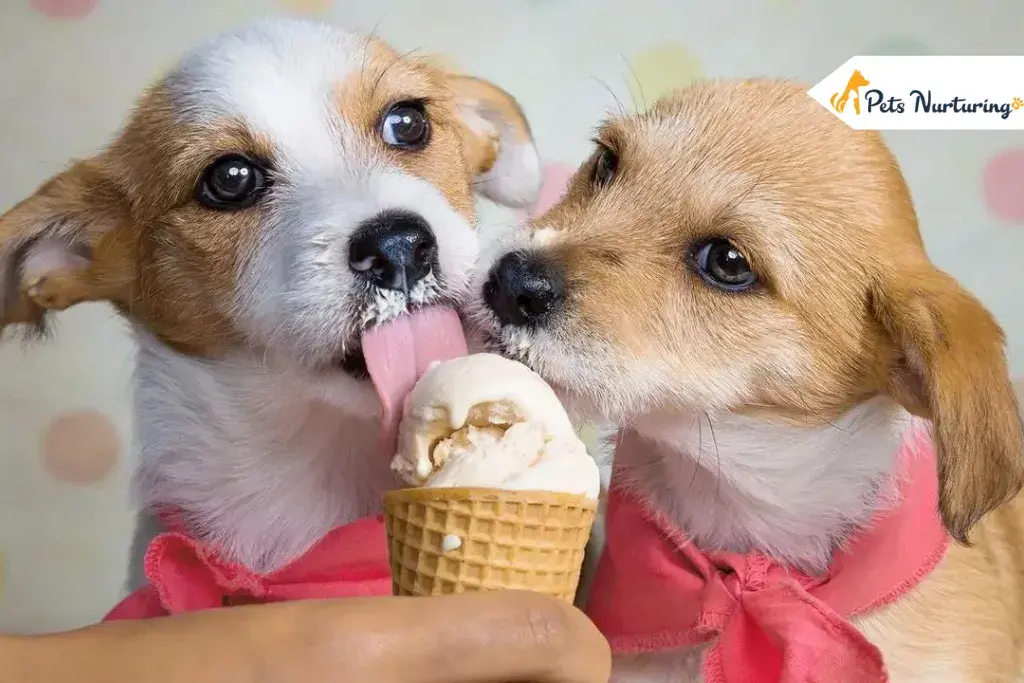 can dogs eat ice creams