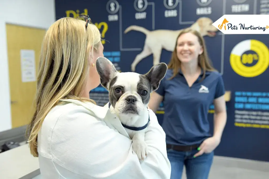 Pet Care Routines