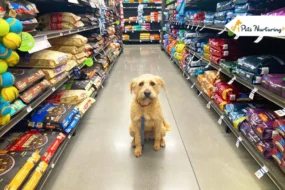 Type of Pet Products