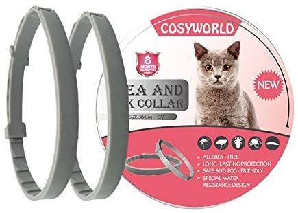 flea collar for cats