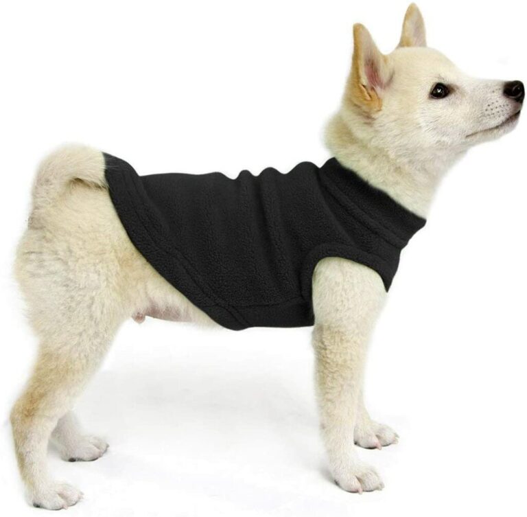 Best Dog Sweaters In 2022 Ideas on Amazon Pets Nurturing