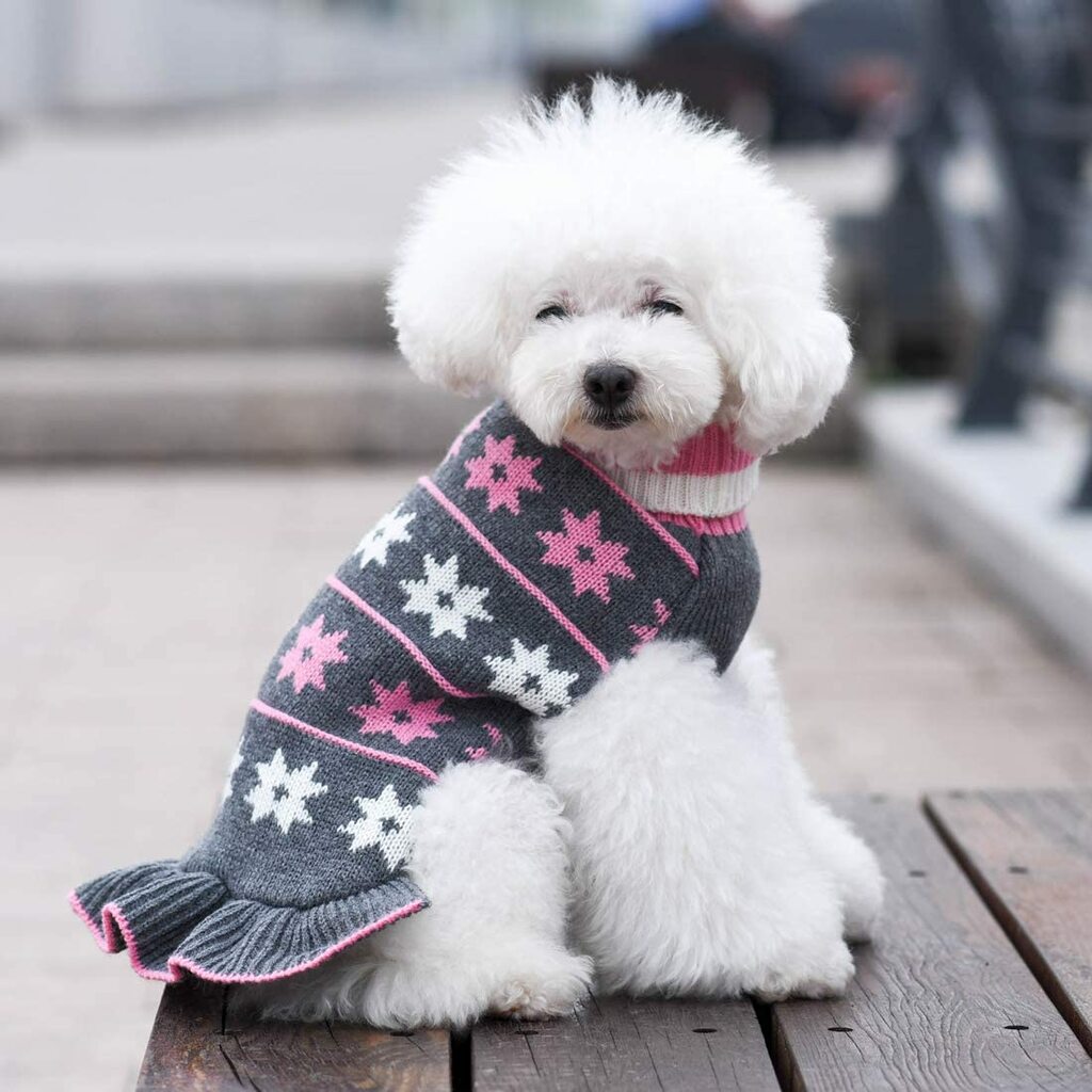 best dog sweaters