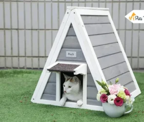 outdoor cat houses
