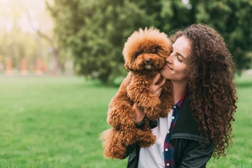 what is the biggest fluffy dog breed